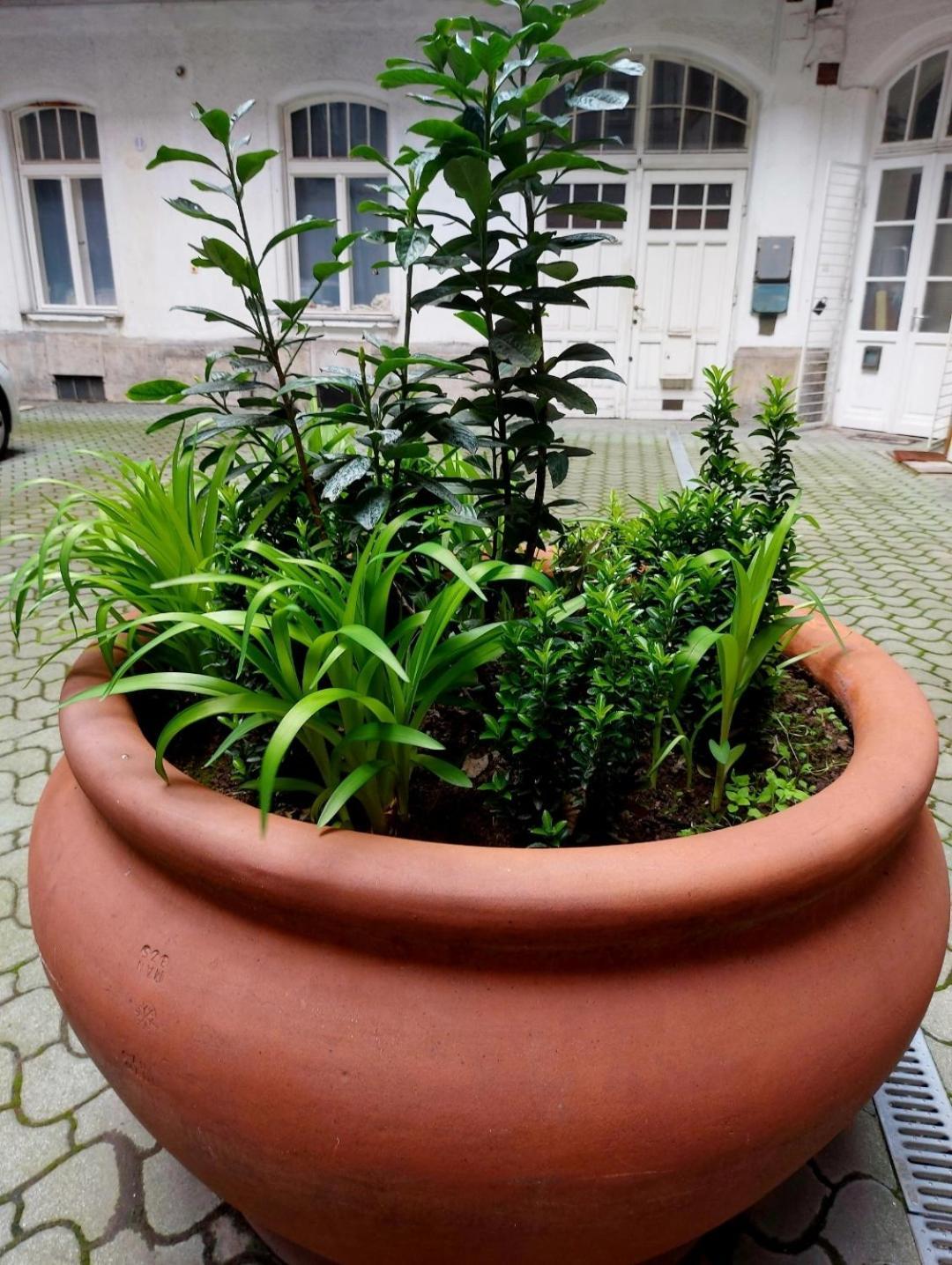 Like Studio City Centrum, Wifi, Terrace Budapest Exterior foto